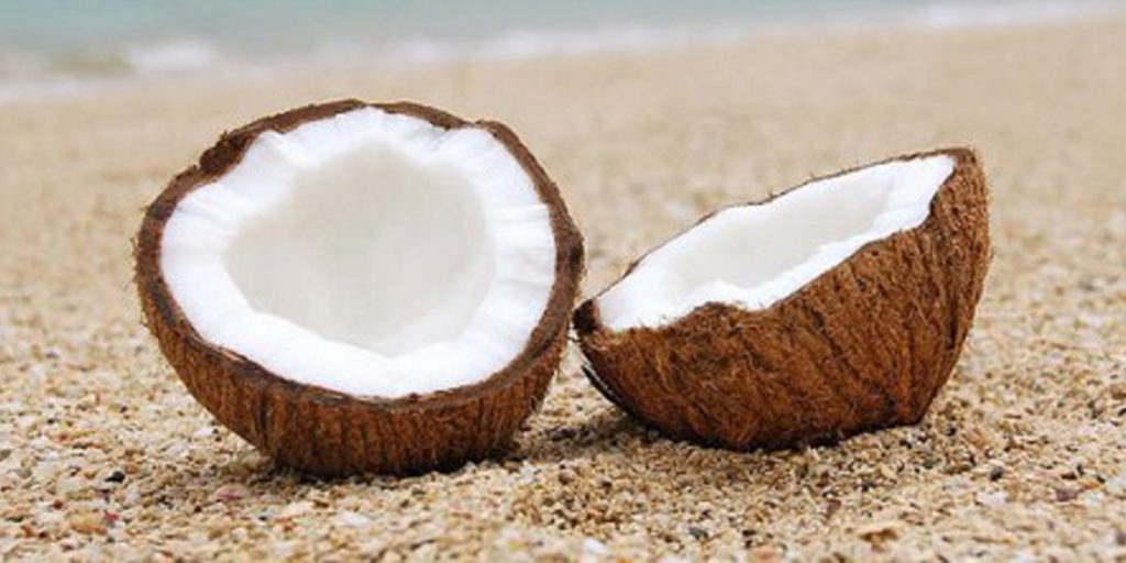 darchinmag-coconut