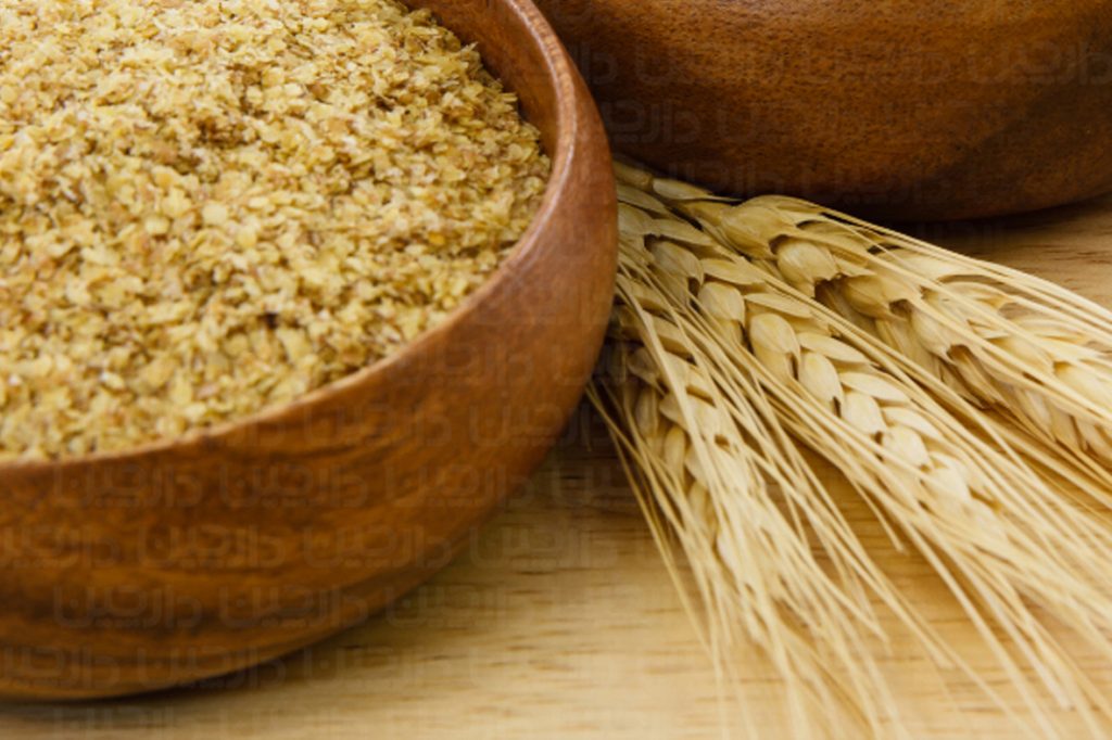 مجله اینترنتی دارچین